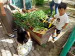 仲良く落花生の収穫。スコップ持って・・・