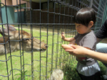 ”鹿さんどうぞ！”